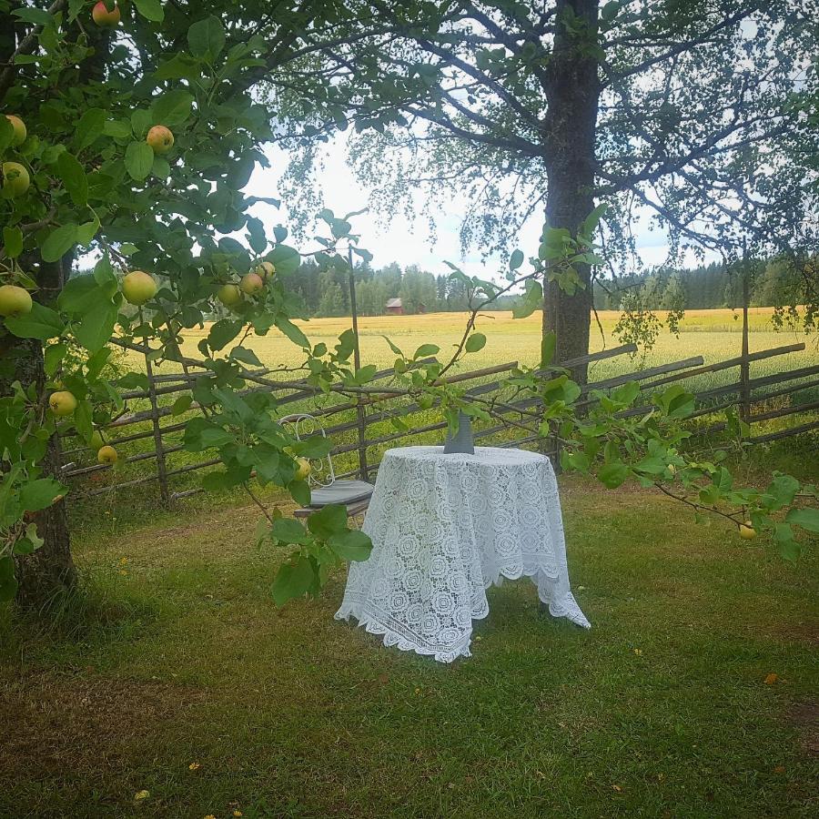Villa Vuorenpaeae Tammela Eksteriør billede