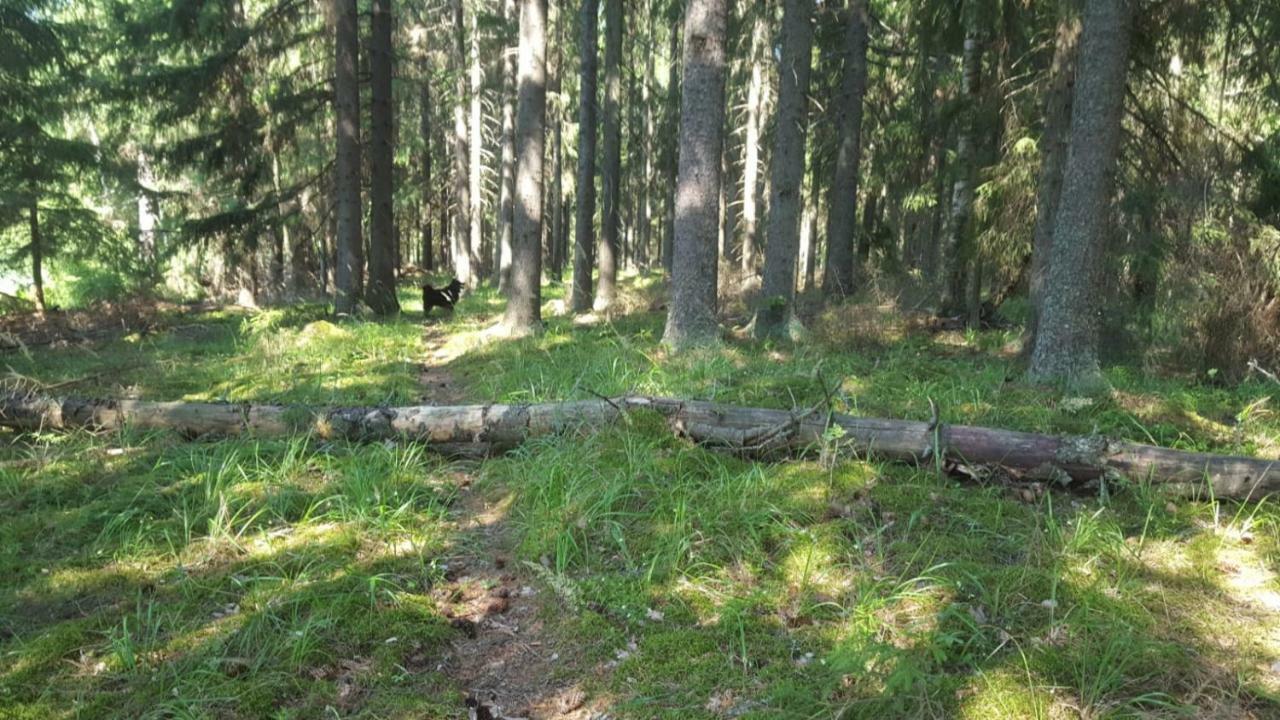 Villa Vuorenpaeae Tammela Eksteriør billede