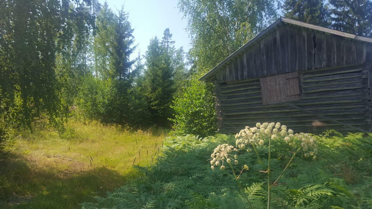 Villa Vuorenpaeae Tammela Eksteriør billede